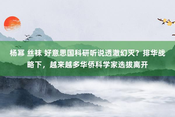 杨幂 丝袜 好意思国科研听说透澈幻灭？排华战略下，越来越多华侨科学家选拔离开